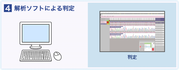 解析ソフトによる判定