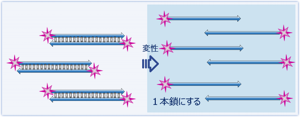 アルカリ変性