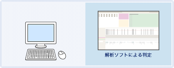 蛍光強度測定