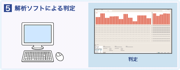 解析ソフトによる判定