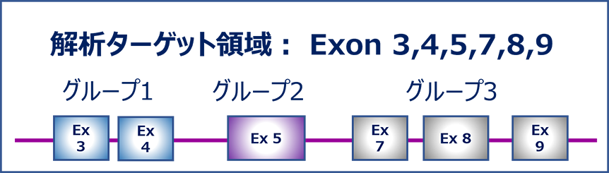 ルミネックス法（PCR-SSO法）の原理