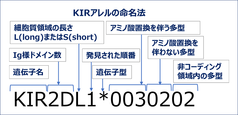 NGS法（キャプチャー法）の原理