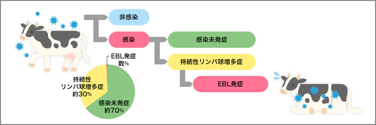 ウシ伝染性リンパ腫受託試験